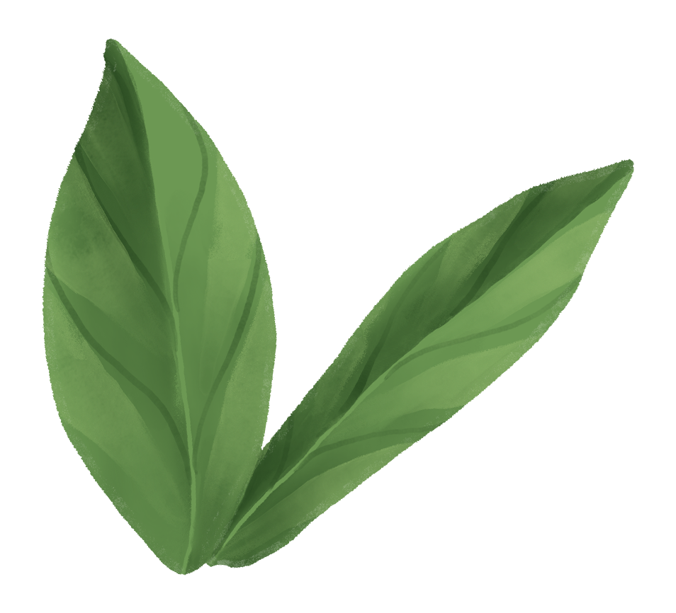 Close-up of green leaves with prominent veins.