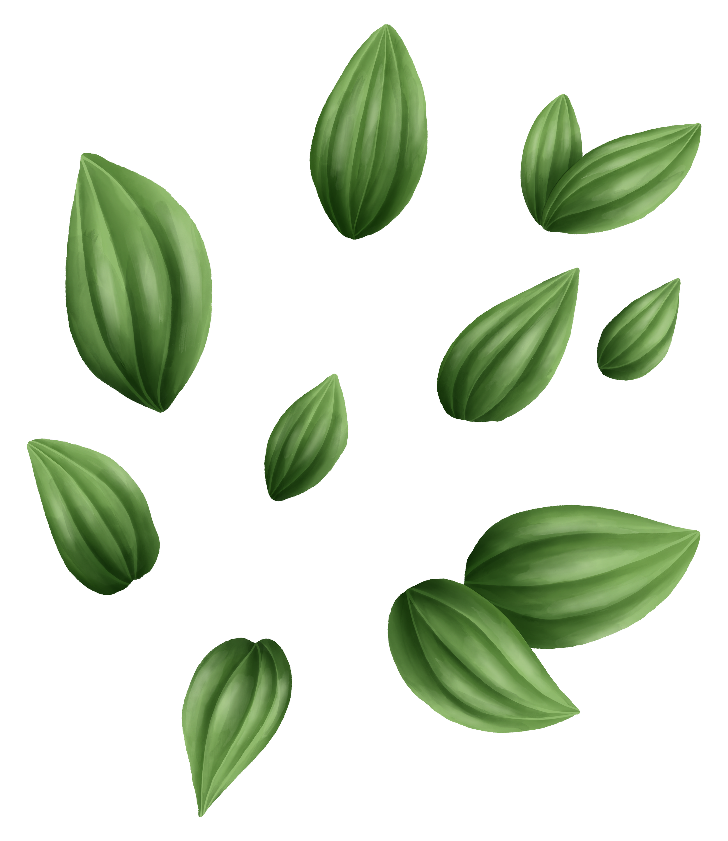 Multiple green botanical leaves with prominent veins arranged in different orientations.